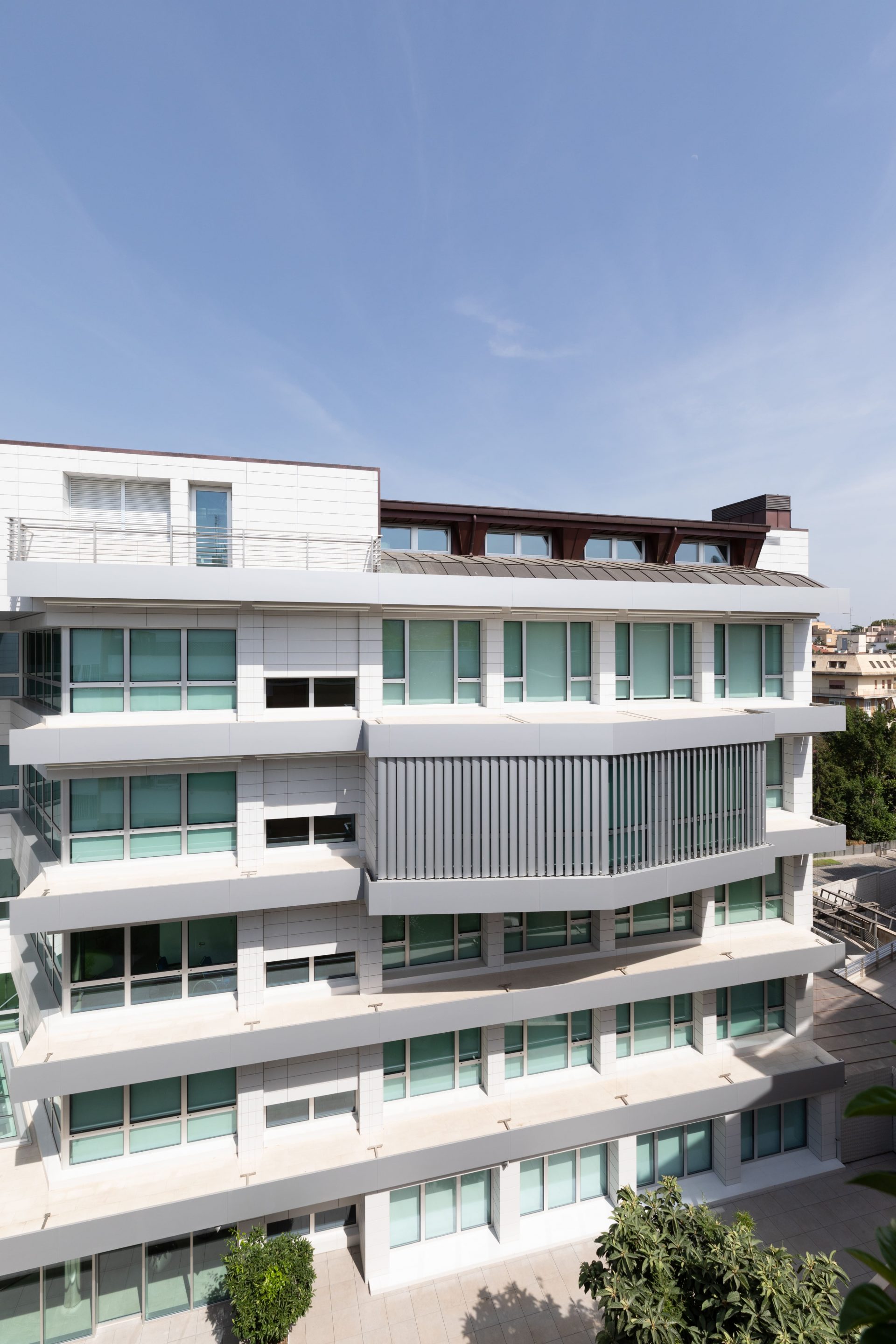 Villa Flaminia Hospital